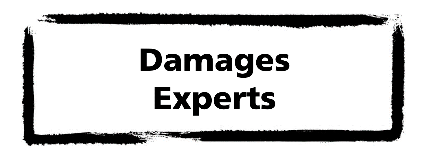 Title: Damages Expert