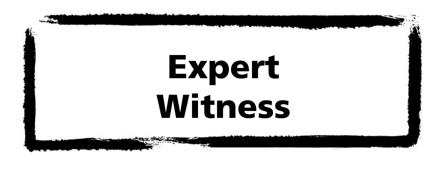 Title: Expert Witness